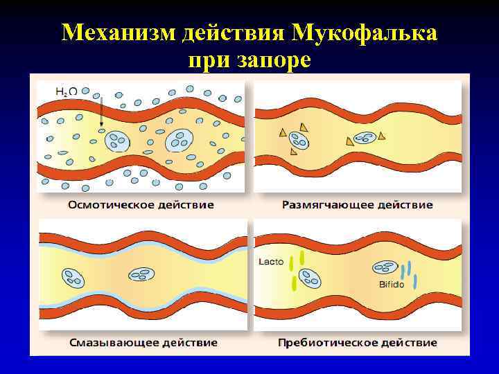 Механизм действия Мукофалька при запоре 