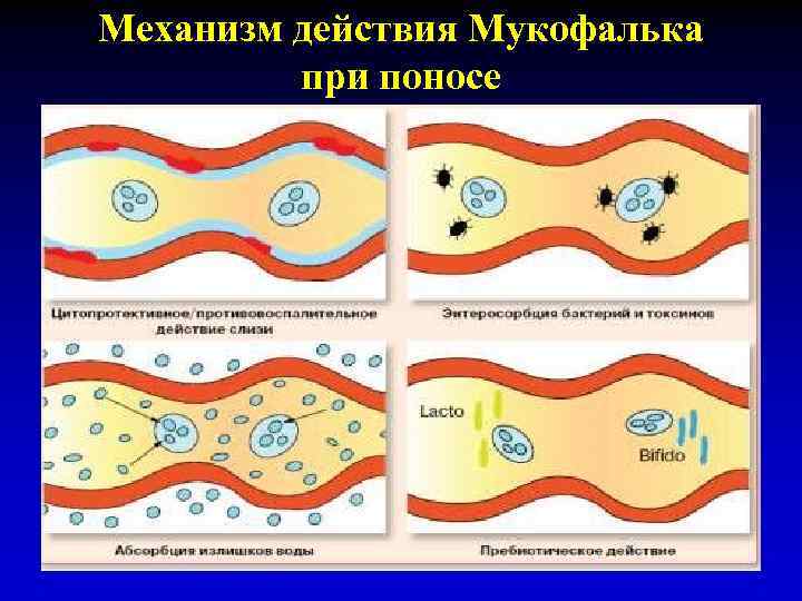 Механизм действия Мукофалька при поносе 