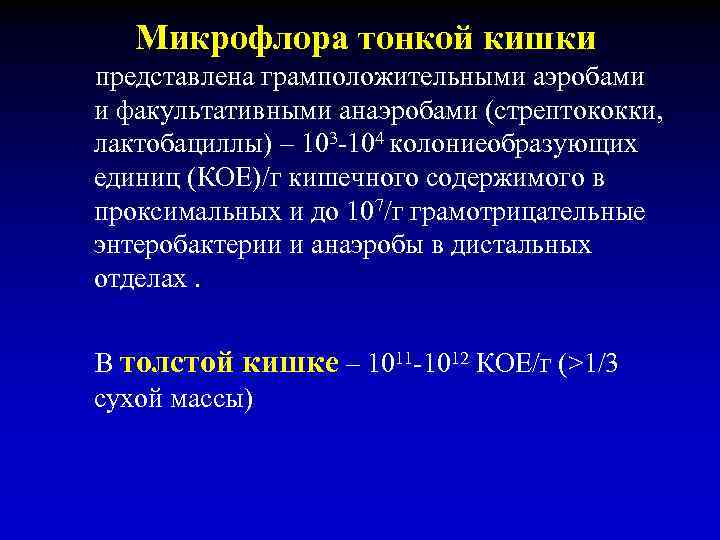 Микрофлора тонкой кишки представлена грамположительными аэробами и факультативными анаэробами (стрептококки, лактобациллы) – 103 -104