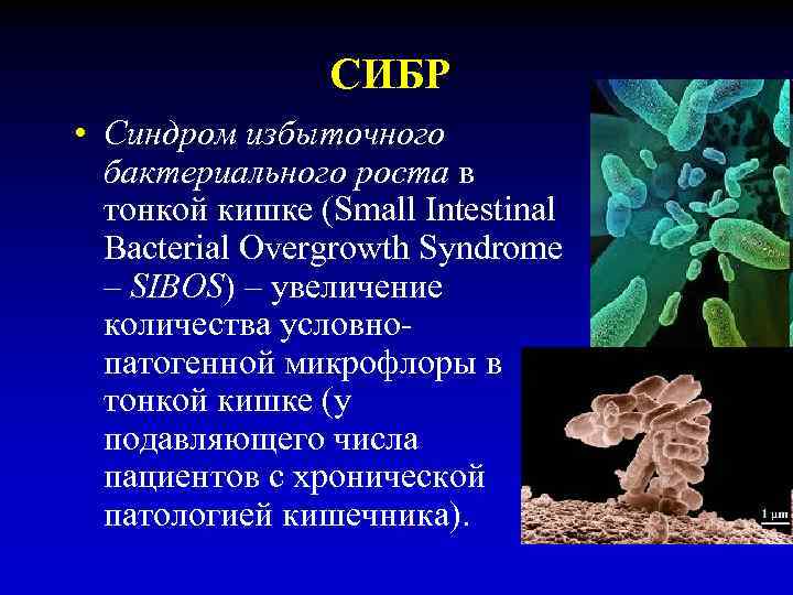 СИБР • Синдром избыточного бактериального роста в тонкой кишке (Small Intestinal Bacterial Overgrowth Syndrome