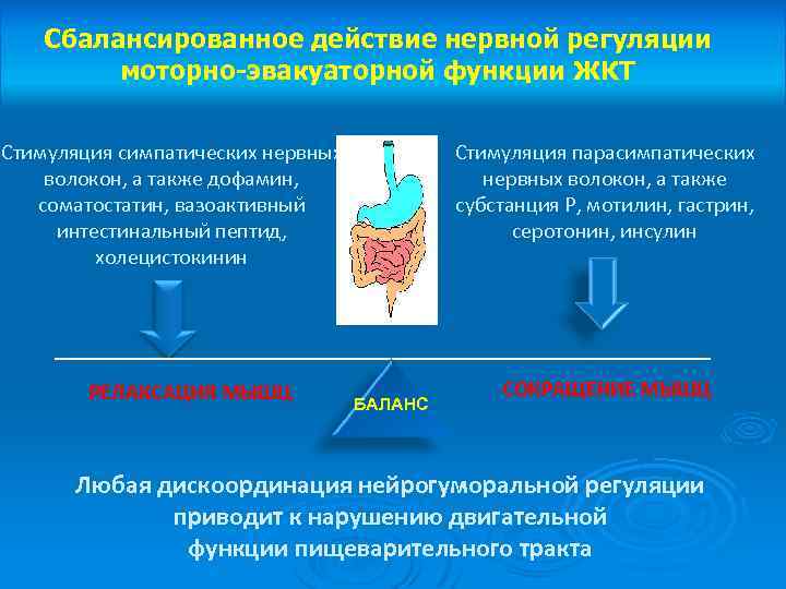 Сбалансированное действие нервной регуляции моторно-эвакуаторной функции ЖКТ Стимуляция симпатических нервных волокон, а также дофамин,