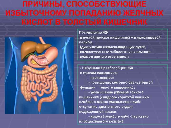 ПРИЧИНЫ, СПОСОБСТВУЮЩИЕ ИЗБЫТОЧНОМУ ПОПАДАНИЮ ЖЕЛЧНЫХ КИСЛОТ В ТОЛСТЫЙ КИШЕЧНИК Поступление ЖК в пустой просвет