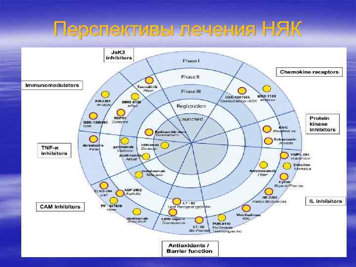 Перспективы лечения НЯК 