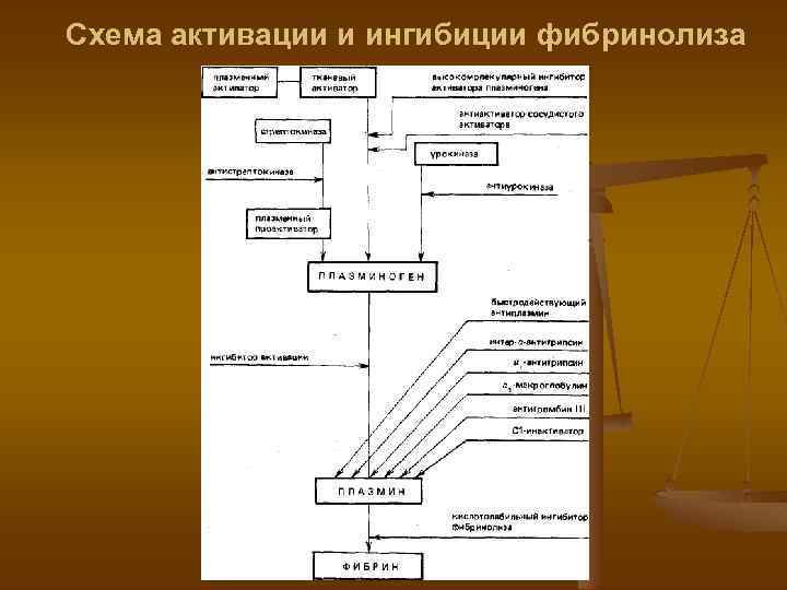 Схема активации и ингибиции фибринолиза 