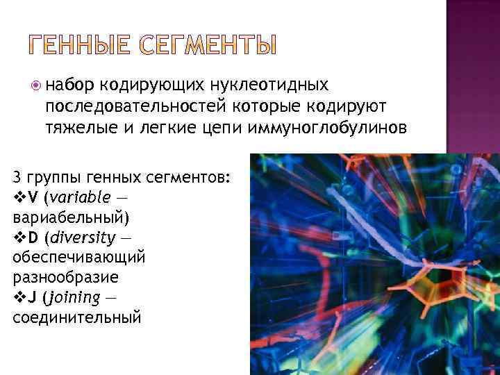  набор кодирующих нуклеотидных последовательностей которые кодируют тяжелые и легкие цепи иммуноглобулинов 3 группы