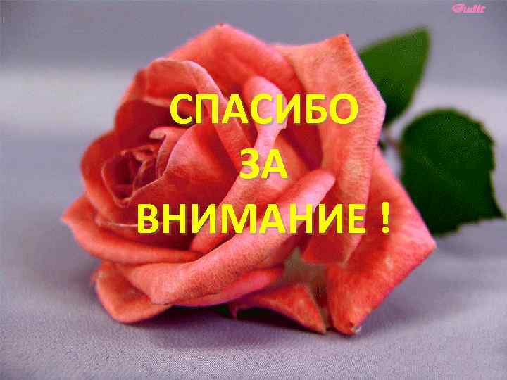 СПАСИБО ЗА ВНИМАНИЕ! ЗА ВНИМАНИЕ ! 