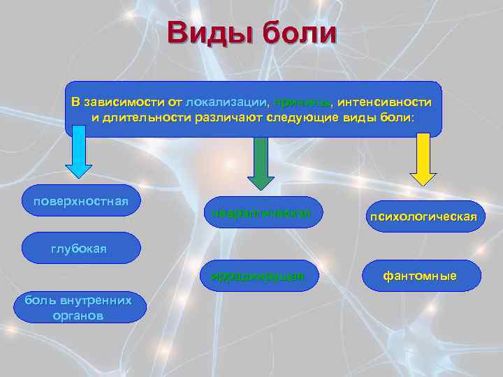 Виды боли. Виды боли в зависимости от локализации:. В зависимости от локализации боль может быть. Виды болезненности.