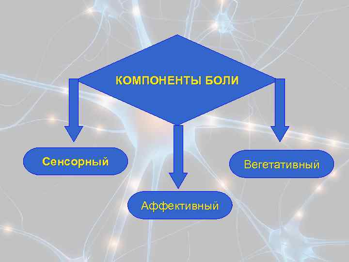  КОМПОНЕНТЫ БОЛИ Сенсорный Вегетативный Аффективный 