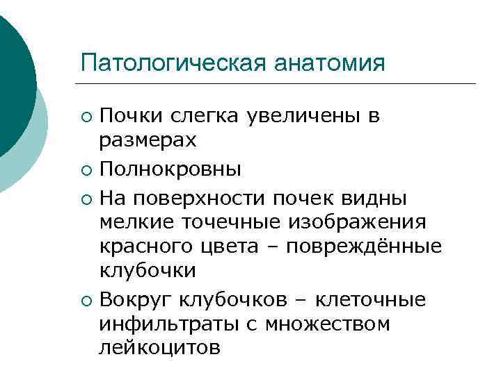 Патологическая анатомия Почки слегка увеличены в размерах ¡ Полнокровны ¡ На поверхности почек видны