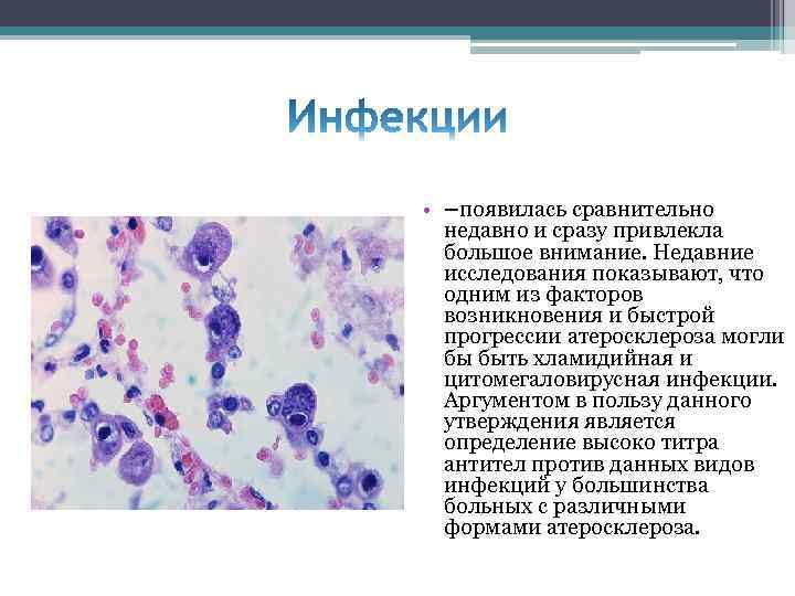  • –появилась сравнительно недавно и сразу привлекла большое внимание. Недавние исследования показывают, что