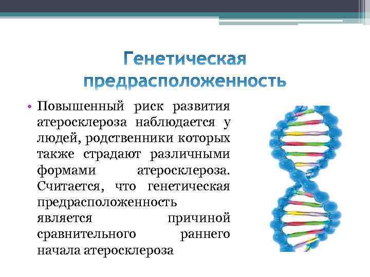  • Повышенный риск развития атеросклероза наблюдается у людей, родственники которых также страдают различными