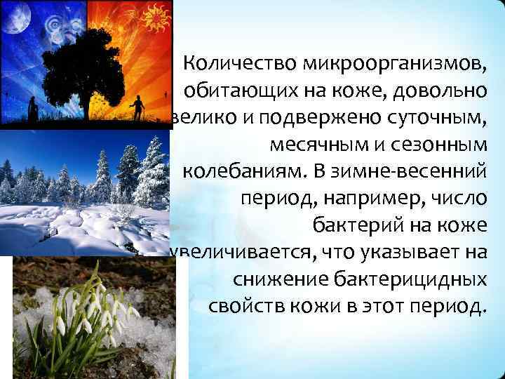 Количество микроорганизмов, обитающих на коже, довольно велико и подвержено суточным, месячным и сезонным колебаниям.