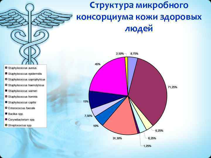 Структура микробного консорциума кожи здоровых людей 