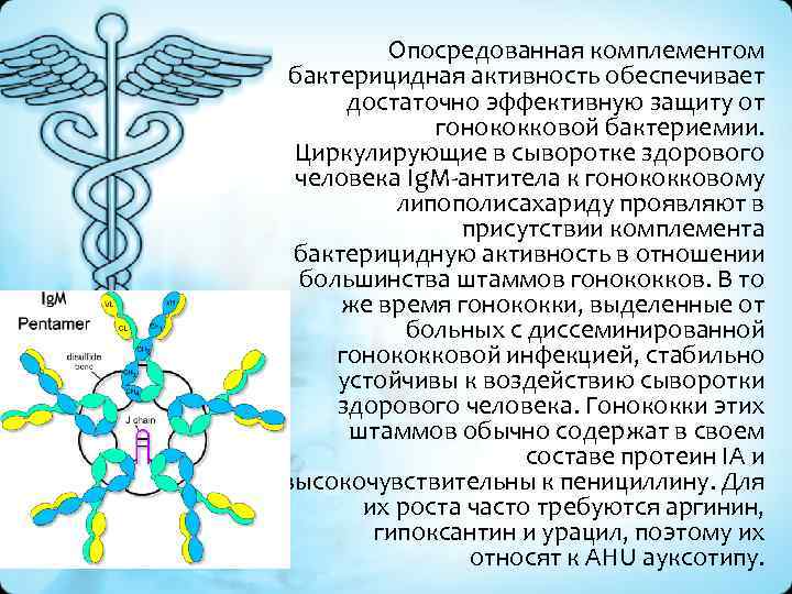 Опосредованная комплементом бактерицидная активность обеспечивает достаточно эффективную защиту от гонококковой бактериемии. Циркулирующие в сыворотке