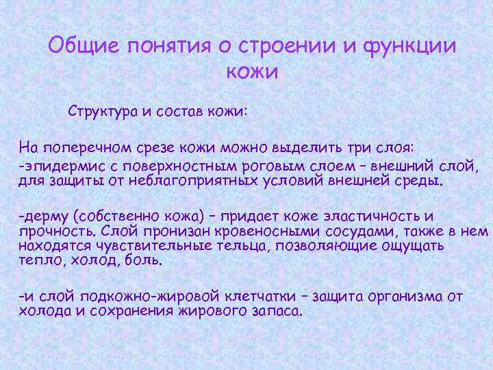 Общие понятия о строении и функции кожи Структура и состав кожи: На поперечном срезе