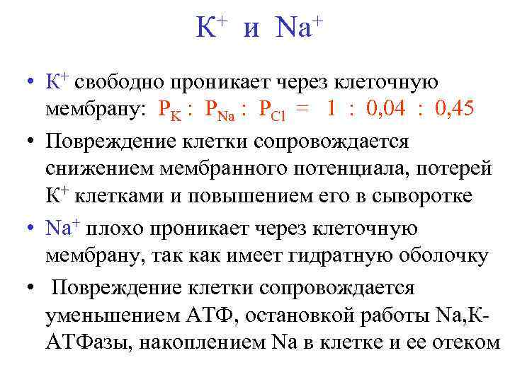 + и Na+ К • К+ свободно проникает через клеточную мембрану: РK : РNa