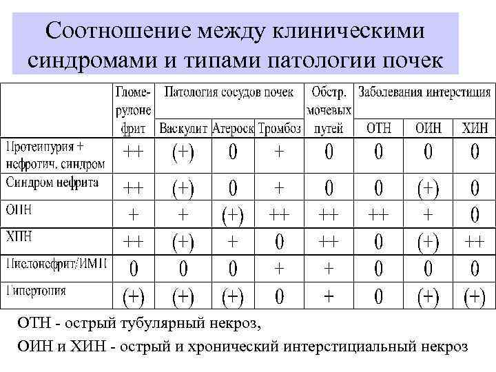Соотношение между клиническими синдромами и типами патологии почек ОТН - острый тубулярный некроз, ОИН