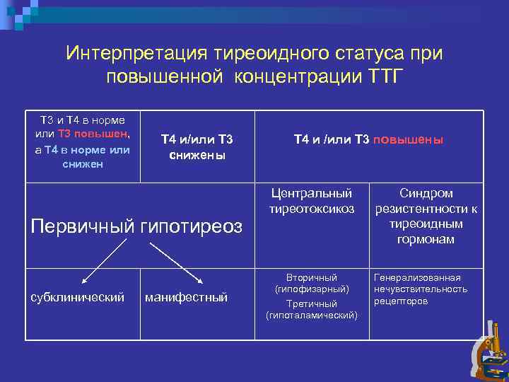 Интерпретация тиреоидного статуса при повышенной концентрации ТТГ Т 3 и Т 4 в норме