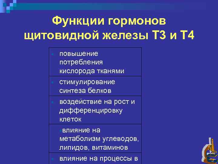 Функции гормонов щитовидной железы Т 3 и Т 4 повышение потребления кислорода тканями стимулирование