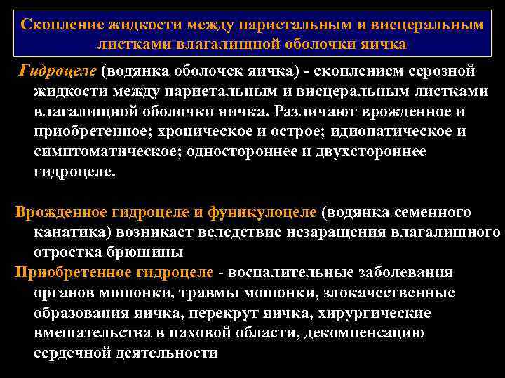 Скопление жидкости между париетальным и висцеральным листками влагалищной оболочки яичка Гидроцеле (водянка оболочек яичка)