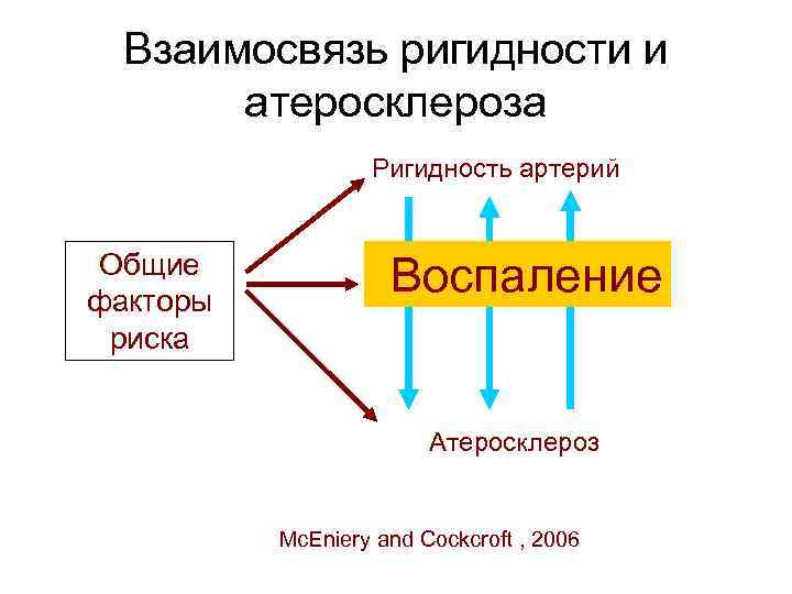 Взаимосвязь ригидности и атеросклероза Ригидность артерий Общие факторы риска Воспаление Атеросклероз Mc. Eniery and