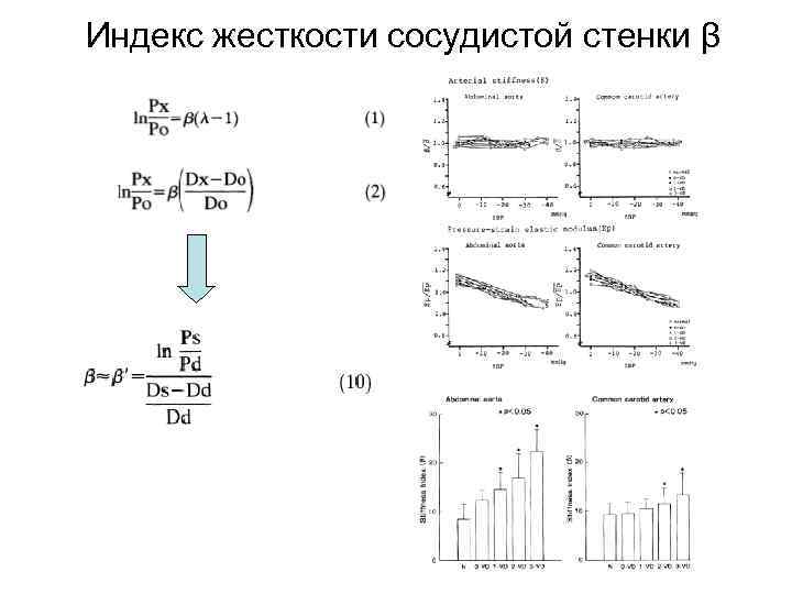 Индекс жесткости сосудистой стенки β 