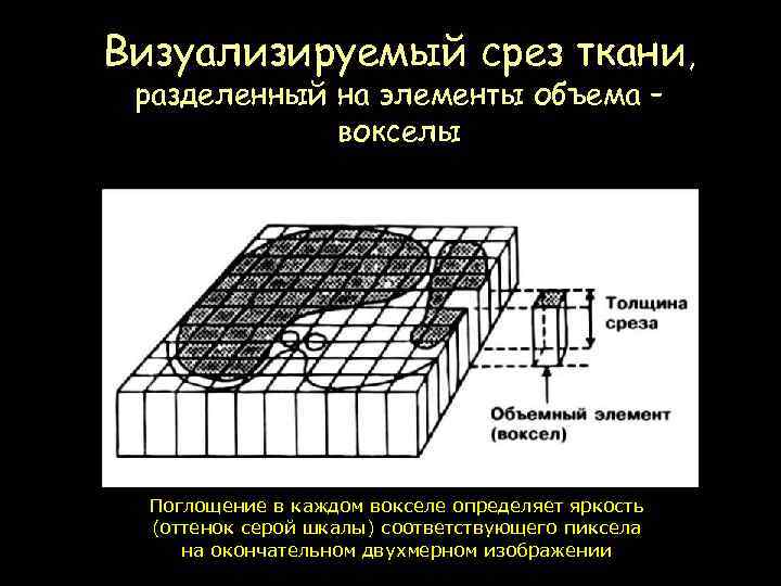 Визуализируемый срез ткани, разделенный на элементы объема – вокселы Поглощение в каждом вокселе определяет