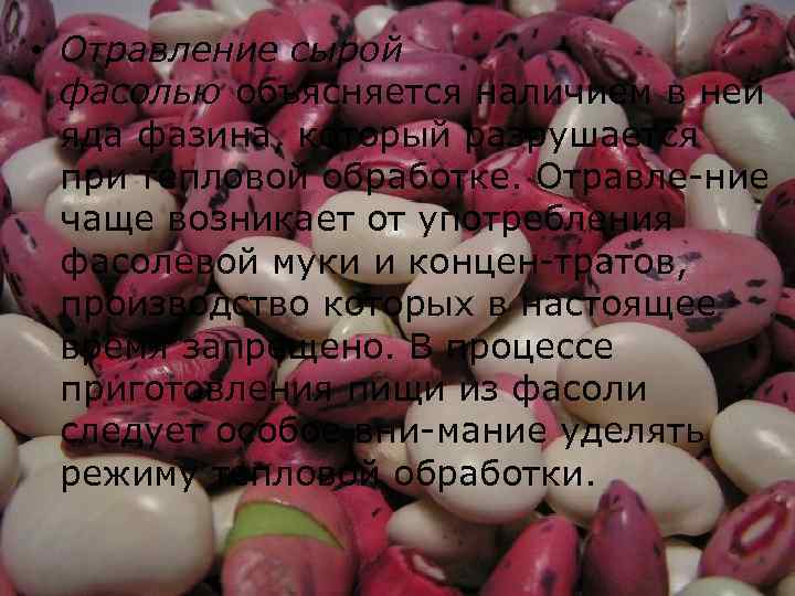  • Отравление сырой фасолью объясняется наличием в ней яда фазина, который разрушается при