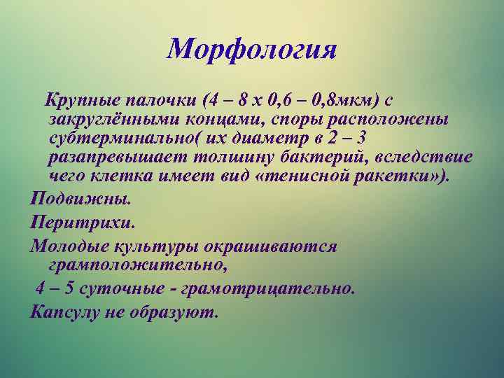Морфология Крупные палочки (4 – 8 х 0, 6 – 0, 8 мкм) с