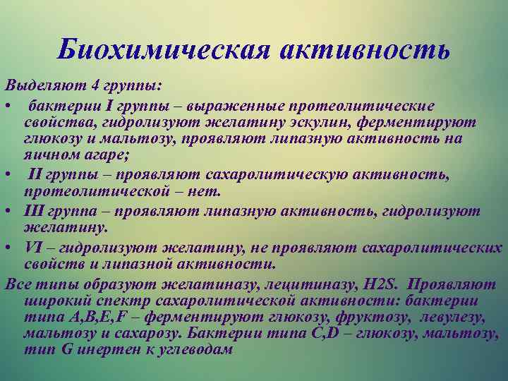 Биохимическая активность Выделяют 4 группы: • бактерии I группы – выраженные протеолитические свойства, гидролизуют