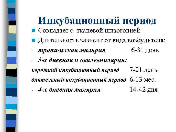 Инкубационный период Совпадает с тканевой шизогонией n Длительность зависит от вида возбудителя: - тропическая