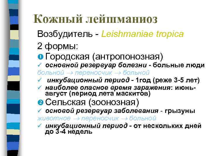 Кожный лейшманиоз Возбудитель - Leishmaniae tropica 2 формы: Городская (антропонозная) основной резервуар болезни -