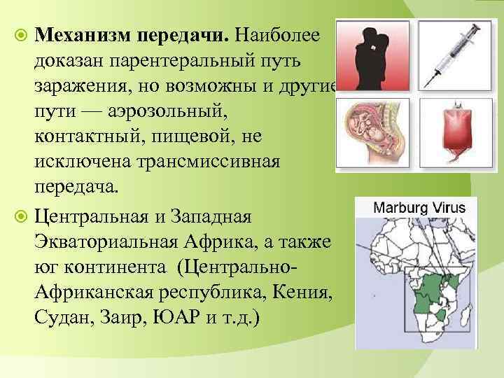 Механизм передачи. Наиболее доказан парентеральный путь заражения, но возможны и другие пути — аэрозольный,