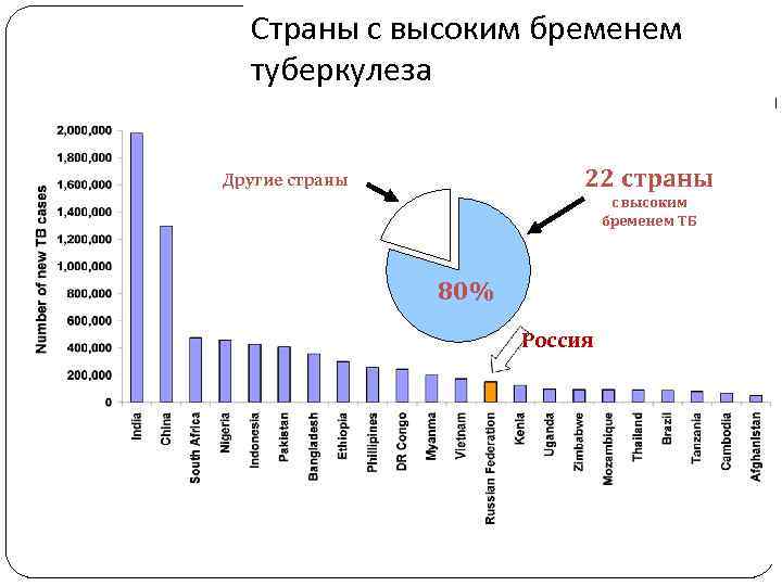 Страны с высоким бременем туберкулеза 22 страны Другие страны с высоким бременем ТБ 80%