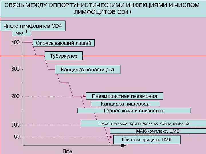 СВЯЗЬ МЕЖДУ ОППОРТУНИСТИЧЕСКИМИ ИНФЕКЦИЯМИ И ЧИСЛОМ ЛИМФОЦИТОВ CD 4+ Число лимфоцитов CD 4 мкл-1