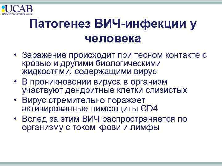 Патогенез ВИЧ-инфекции у человека • Заражение происходит при тесном контакте с кровью и другими