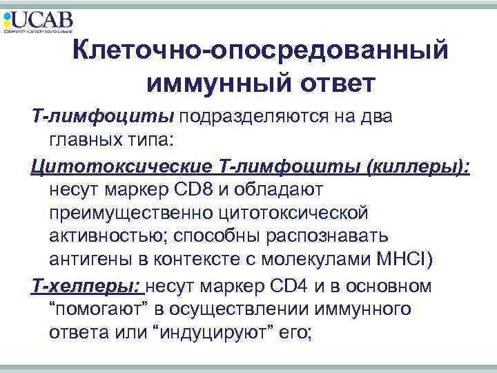Клеточно-опосредованный иммунный ответ T-лимфоциты подразделяются на два главных типа: Цитотоксические Т-лимфоциты (киллеры): несут маркер