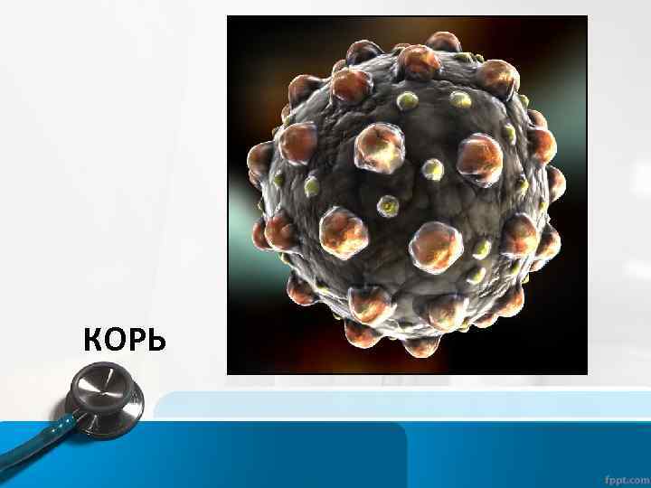 КОРЬ 