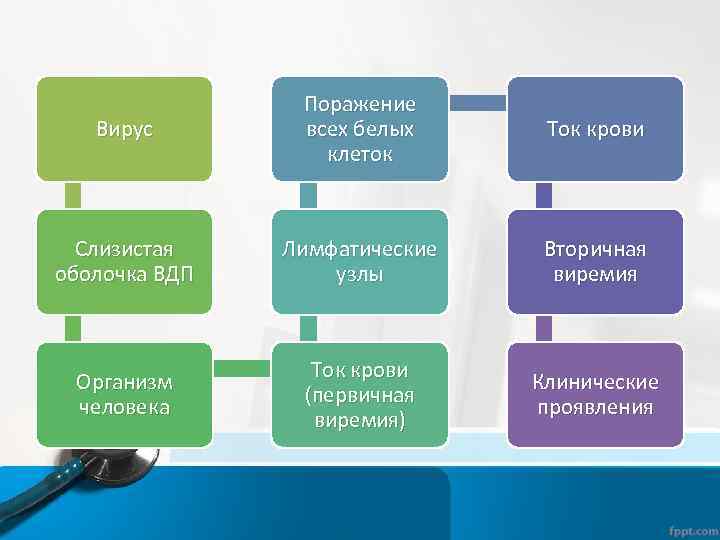 Вирус Поражение всех белых клеток Ток крови Слизистая оболочка ВДП Лимфатические узлы Вторичная виремия