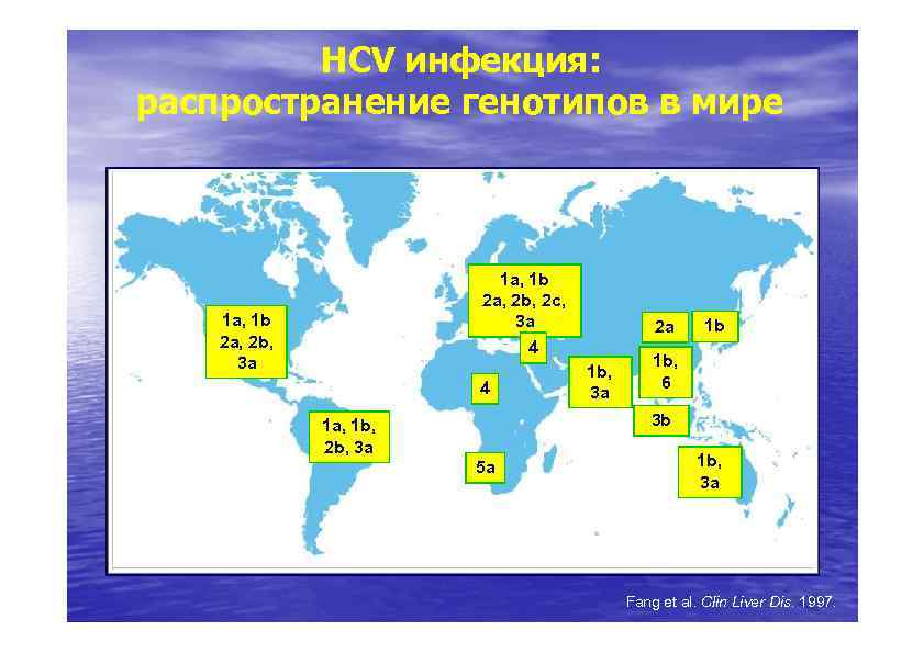 HCV инфекция: распространение генотипов в мире 1 a, 1 b 2 a, 2 b,
