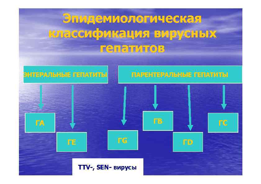 Естественное течение. Вирус ТТV лечение.