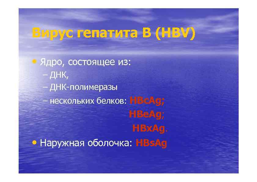 Вирус гепатита В (HВV) ) • Ядро, состоящее из: – ДНК, – ДНК-полимеразы –