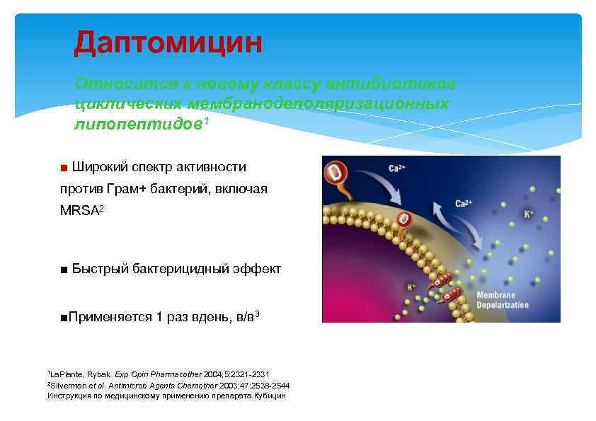 Даптомицин Относится к новому классу антибиотиков циклических мембранодеполяризационных липопептидов 1 ■ Широкий спектр активности