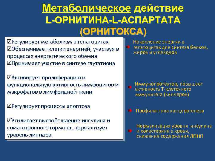 Метаболическое действие L-ОРНИТИНА-L-АСПАРТАТА (ОРНИТОКСА) Регулирует метаболизм в гепатоцитах Обеспечивает клетки энергией, участвуя в процессах