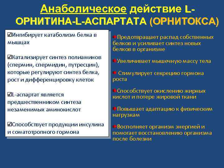 Анаболическое действие LОРНИТИНА-L-АСПАРТАТА (ОРНИТОКСА) Ингибирует катаболизм белка в мышцах Катализирует синтез полиаминов (спермин, спермидин,