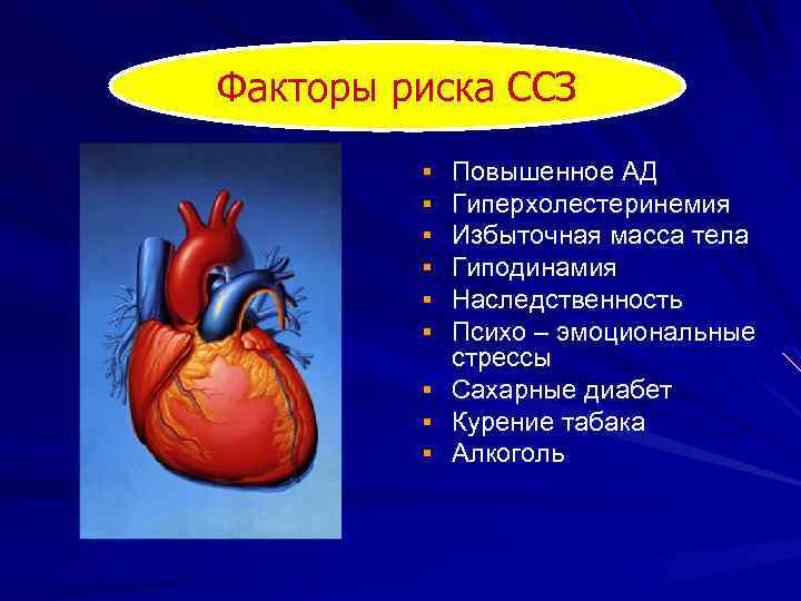 Факторы риска ССЗ § § § § § Повышенное АД Гиперхолестеринемия Избыточная масса тела