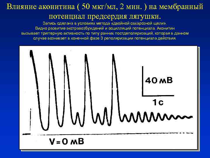 Влияние аконитина ( 50 мкг/мл, 2 мин. ) на мембранный потенциал предсердия лягушки. Запись