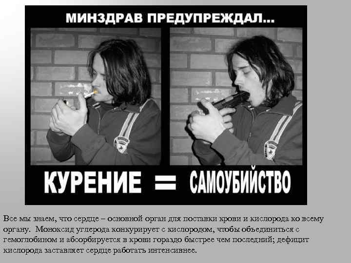 Все мы знаем, что сердце – основной орган для поставки крови и кислорода ко