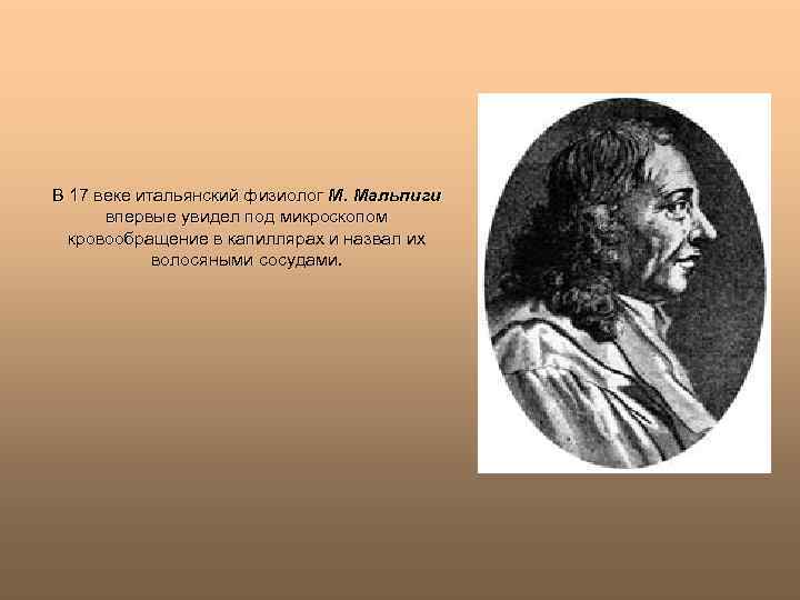 В 17 веке итальянский физиолог М. Мальпиги впервые увидел под микроскопом кровообращение в капиллярах