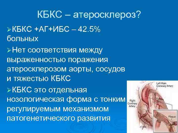 КБКС – атеросклероз? ØКБКС +АГ+ИБС – 42. 5% больных ØНет соответствия между выраженностью поражения